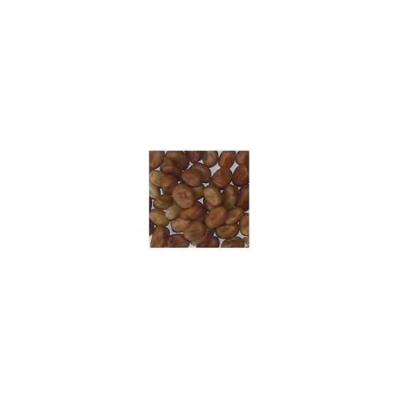 FAVINO INTERO KG 25 MANG.SEMPLICE